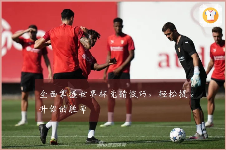 全面掌握世界杯竞猜技巧，轻松提升你的胜率