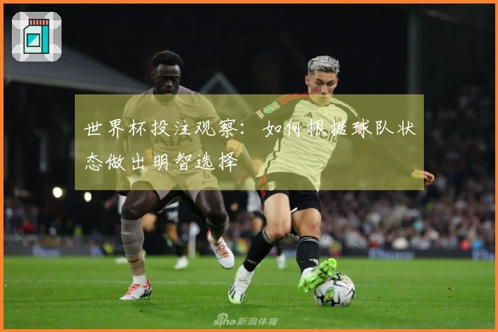 世界杯投注观察：如何根据球队状态做出明智选择