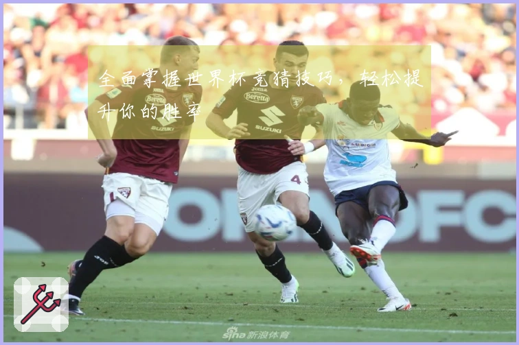 全面掌握世界杯竞猜技巧，轻松提升你的胜率