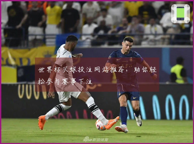世界杯买球投注网站推荐，助你轻松参与赛事下注