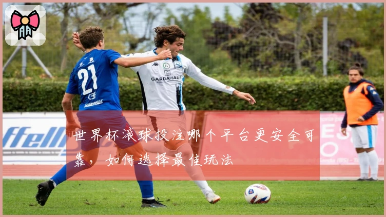 世界杯滚球投注哪个平台更安全可靠，如何选择最佳玩法