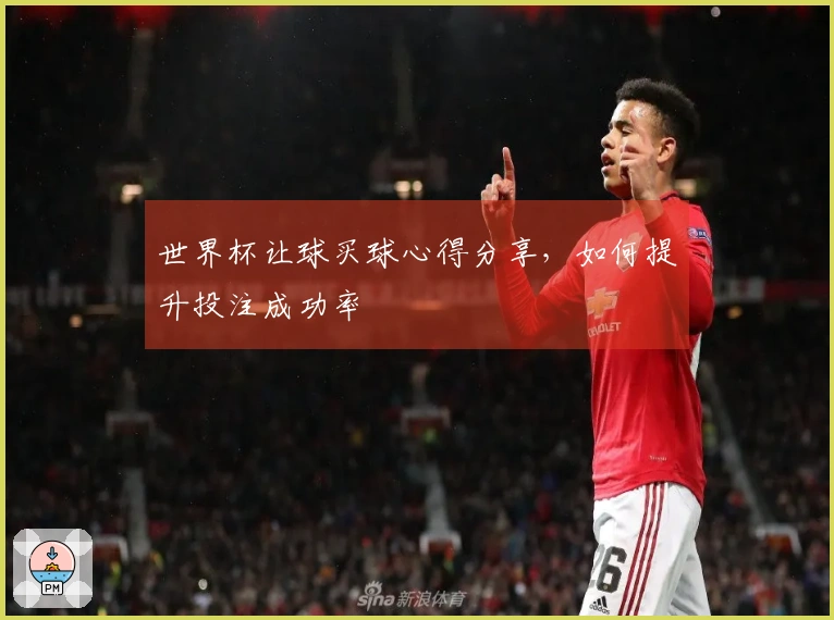 世界杯让球买球心得分享，如何提升投注成功率