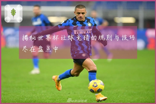 揭秘世界杯让球竞猜的规则与技巧尽在盘点中