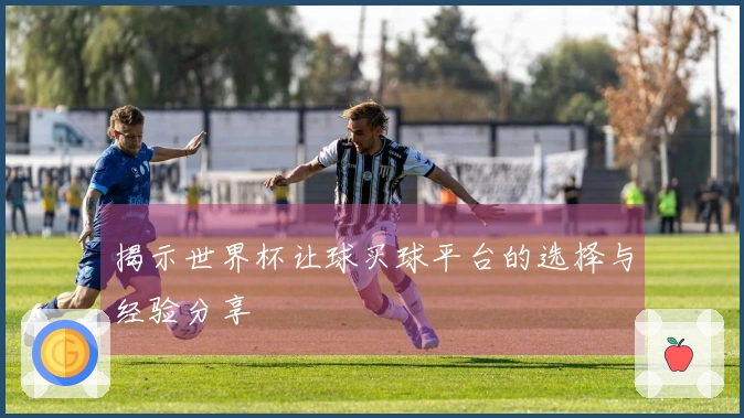 揭示世界杯让球买球平台的选择与经验分享