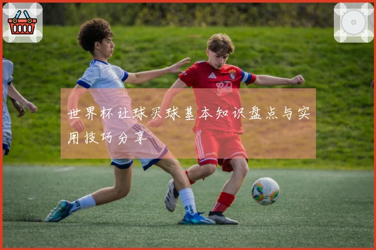 世界杯让球买球基本知识盘点与实用技巧分享