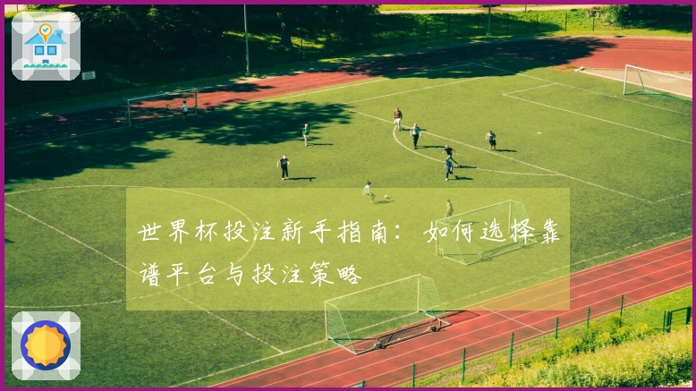 世界杯投注新手指南：如何选择靠谱平台与投注策略