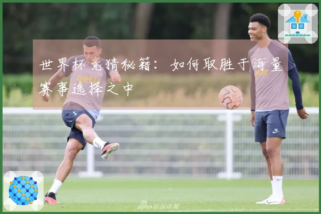 世界杯竞猜秘籍：如何取胜于海量赛事选择之中