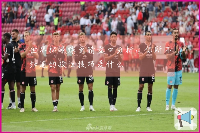 世界杯滚球竞猜盘口分析，你所不知道的投注技巧是什么