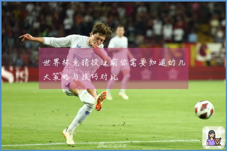 世界杯竞猜投注前你需要知道的几大策略与技巧对比