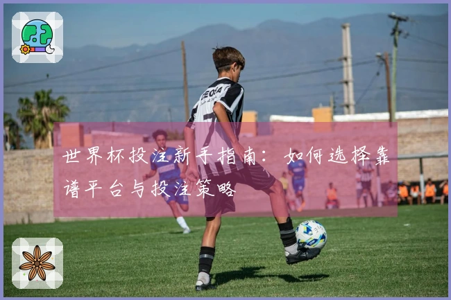 世界杯投注新手指南：如何选择靠谱平台与投注策略