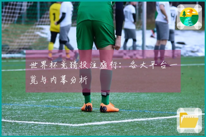 世界杯竞猜投注盛行：各大平台一览与内幕分析