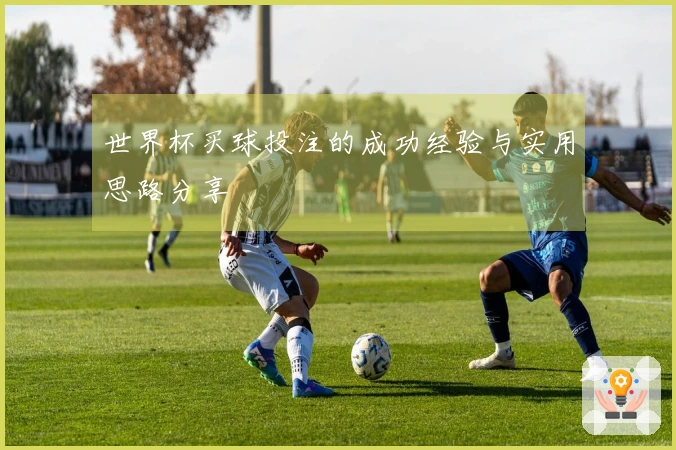 世界杯买球投注的成功经验与实用思路分享