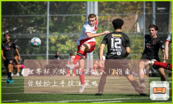 世界杯买球竞猜实战入门指南，助你轻松上手投注策略