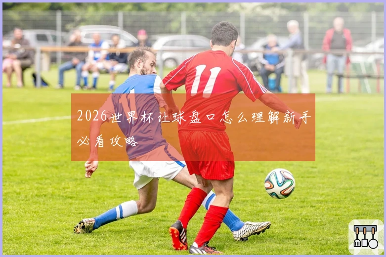2026世界杯让球盘口怎么理解新手必看攻略