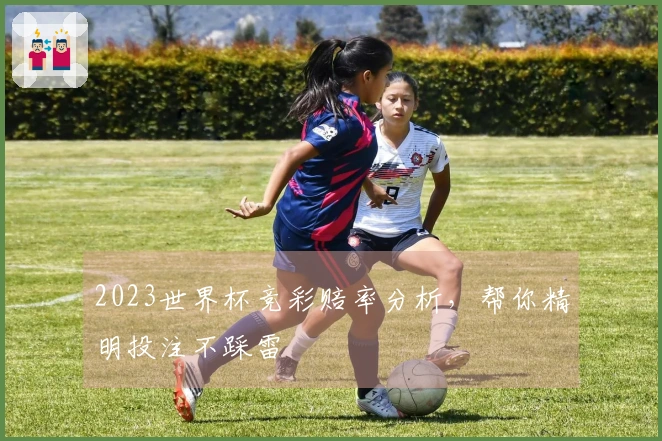 2023世界杯竞彩赔率分析，帮你精明投注不踩雷