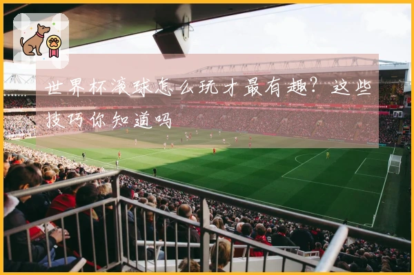 世界杯滚球怎么玩才最有趣？这些技巧你知道吗